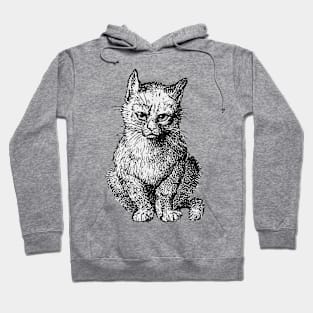 Little Kitten Hoodie